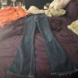 Hudson Jeans Dark Blue Flare Women's Jeans